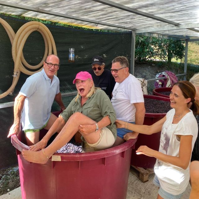 Lucca Tour & Pisa Tower + Wine Tasting by van from Livorno - Comfort, accessibility, and the day’s pace