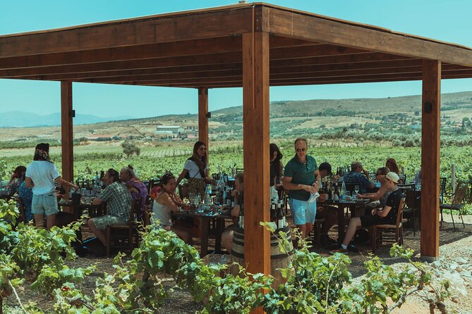 LUXURY PRIVATE Wine Tasting in CRETE (also for CRUISE SHIPS) - The Picnic Option Under the Olive Trees