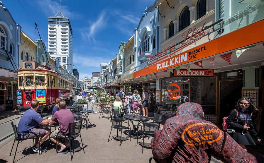 Lyttelton Shore Excursion: Christchurch Highlights & Punting - Who will enjoy this Christchurch shore excursion?