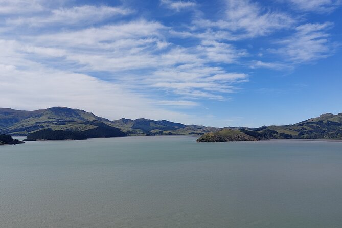 Lyttelton Shore Excursion: Christchurch Sightseeing with Antarctic Center - Riverside Market and lunch on your own