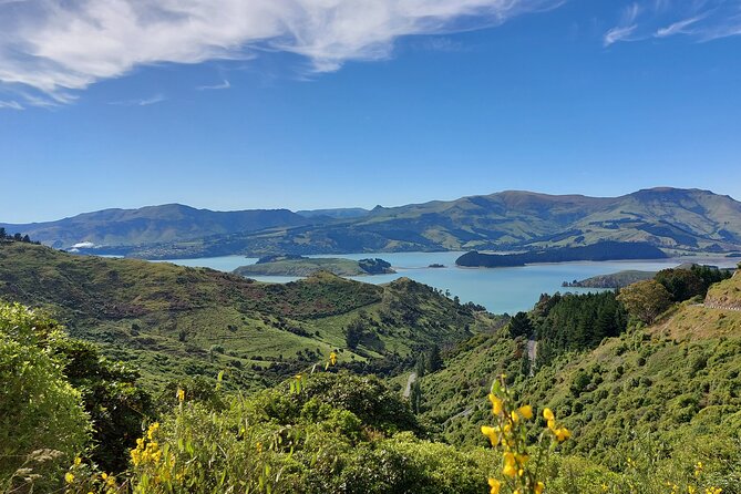 Lyttelton Shore Excursion: Christchurch Sightseeing with Jet Boating - Why this shore excursion works well from Lyttelton