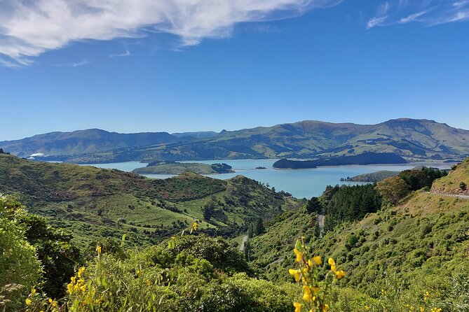 Lyttelton Shore Excursion: Christchurch & Willowbank Tour - Why this Christchurch shore excursion works