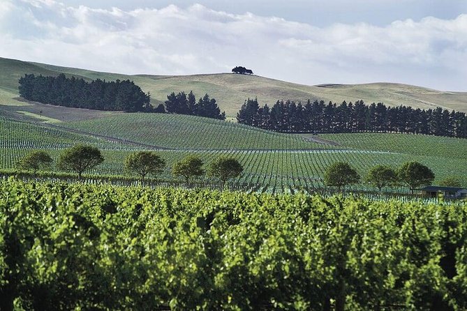 Lyttelton Shore Excursion: Christchurch & Willowbank Tour - Mona Vale brings gardens into the itinerary