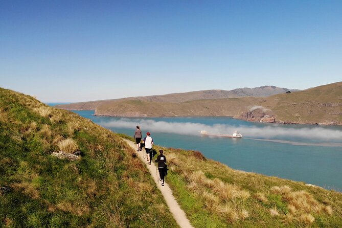 Lyttelton Shore Excursion - Guided Walking Tour and Picnic - What makes this tour worth considering