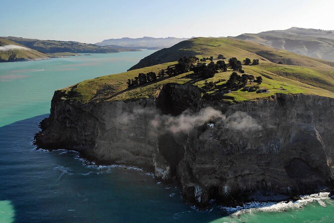 Lyttelton Shore Excursion - Guided Walking Tour and Picnic - Taylors Mistake is the trailhead