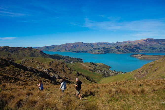 Lyttelton Shore Excursion - Guided Walking Tour and Picnic - Picnic lunch at Boulder Bay