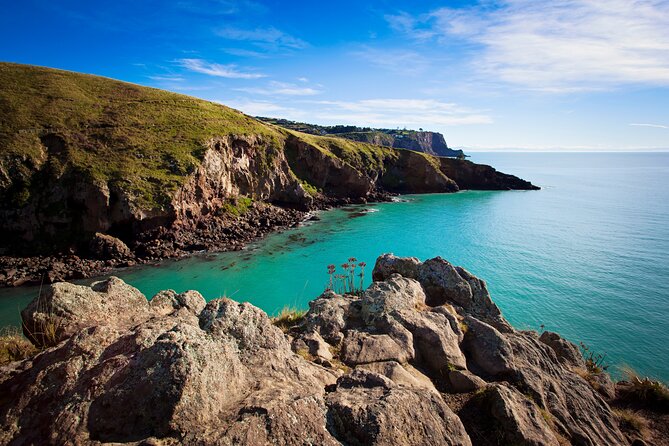 Lyttelton Shore Excursion - Guided Walking Tour and Picnic - Price, group size, and port-day value