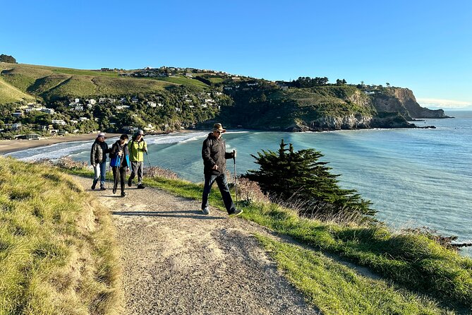 Lyttelton Shore Excursion - Guided Walking Tour and Picnic - Three hours on the Godley Head Loop