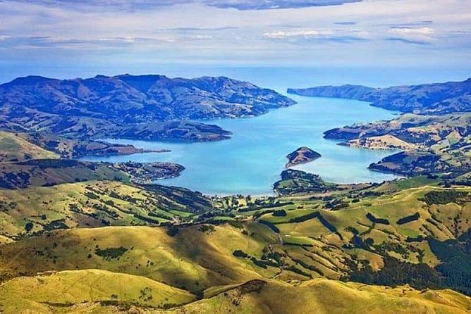 Lyttelton Shore Excursion: Twin Harbour Tour (Lyttelton & Akaroa) - Key things to know before booking