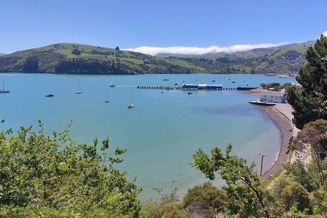 Lyttelton Shore Excursion: Twin Harbour Tour (Lyttelton & Akaroa) - The Akaroa Harbour cruise with Black Cat Cruises