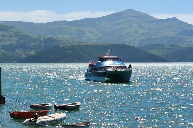 Lyttelton Shore Excursion: Twin Harbour Tour (Lyttelton & Akaroa) - Vehicle comfort and group size