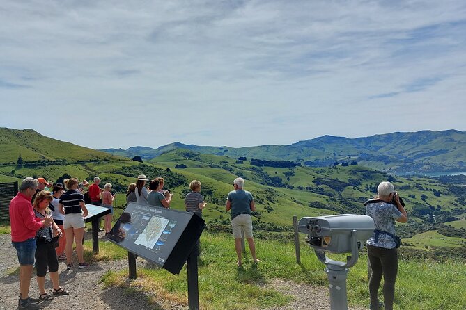 Lyttelton Shore Excursion: Twin Harbour Tour (Lyttelton & Akaroa) - The first stretch through Banks Peninsula