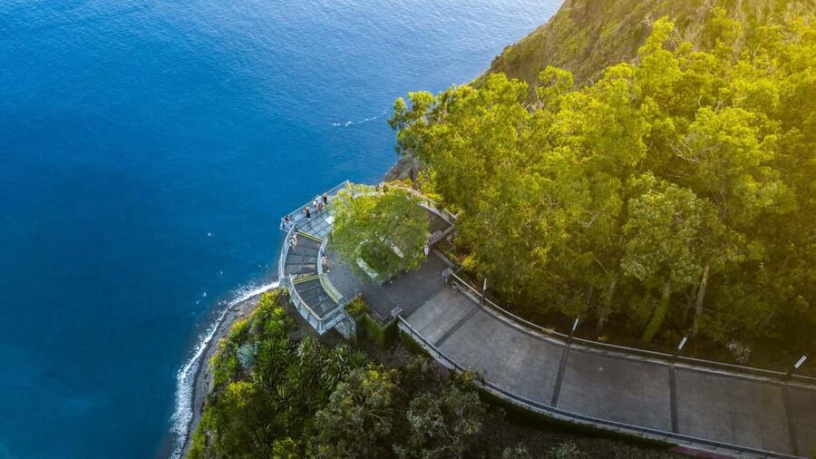 Madeira: Private Tour for Cruise Ship Passengers - Cabo Girão and Madeira’s big views