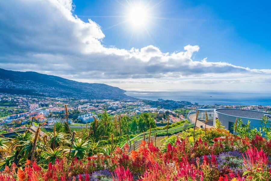 Madeira: Private Tour for Cruise Ship Passengers - Comfort, space, and what is included