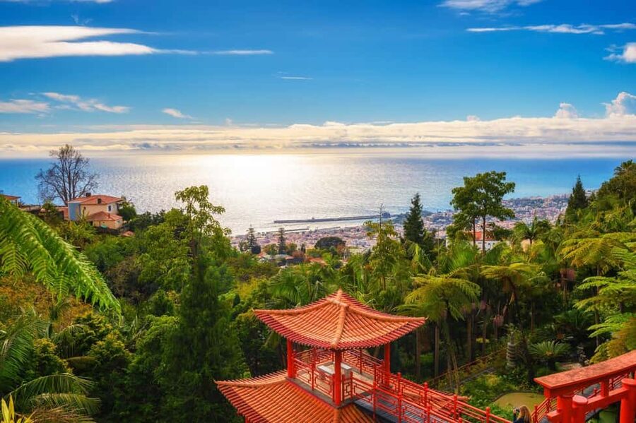 Madeira: Private Tour for Cruise Ship Passengers - The value of $235 for your group