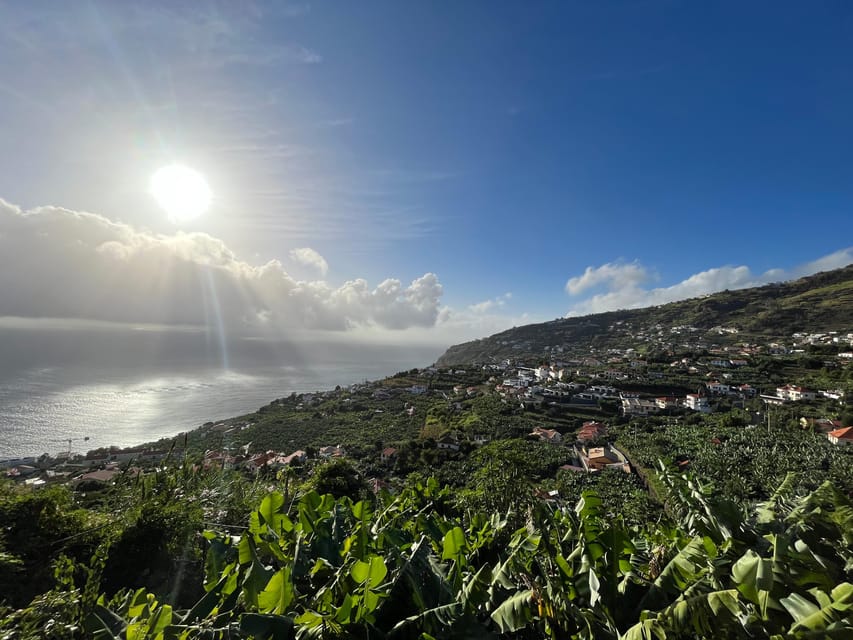 Madeira South Tour: Cabo Girão, Waterfalls for Cruise Ship - Key points at a glance