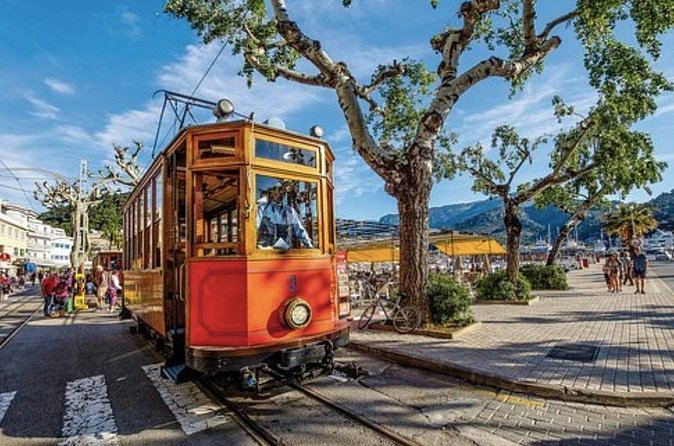 Mallorca Shore Excursion: Exclusive Soller and Valldemosa - Is $211.12 a Fair Price?
