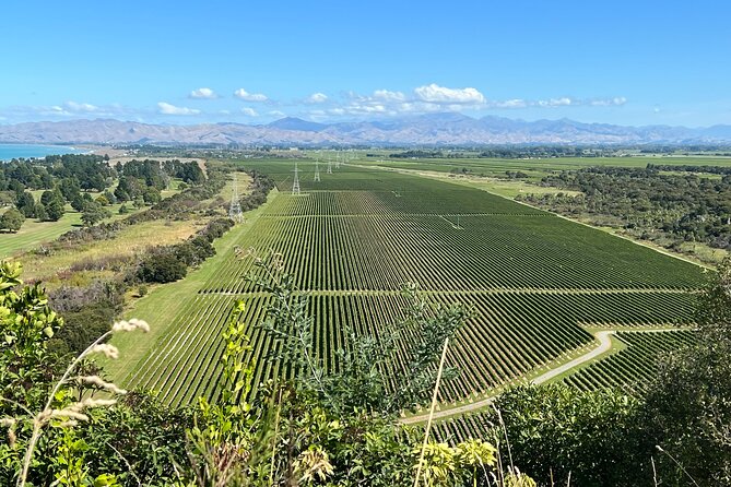 Marlborough Wine Region Tour from the Port of Picton - How much time do you really get at the wineries?