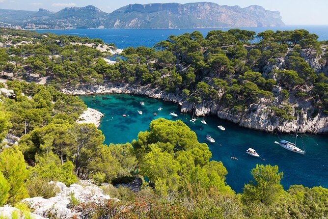 Marseille Shore Excursion: Calanques National Park by Electric Mountain Bike - Key points about the Marseille electric bike ride