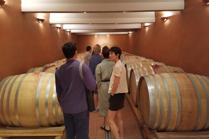 Marseille Shore Excursion - Full Day Wine Tour in Provence - Cassis, Lourmarin, or Aix: choosing the town portion