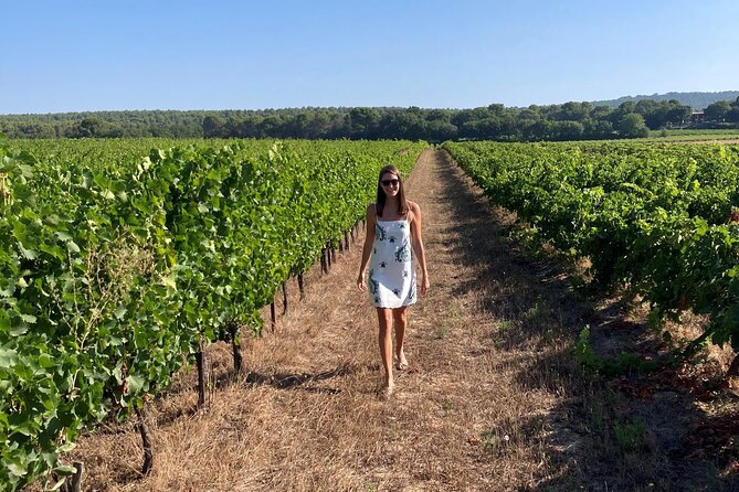 Marseille Shore Excursion - Full Day Wine Tour in Provence - Who will enjoy this Provence shore excursion?
