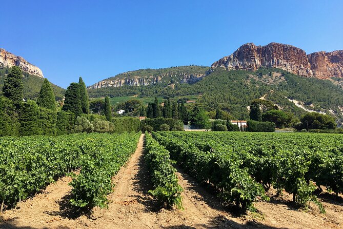 Marseille Shore Excursion - Full Day Wine Tour in Provence - The first winery: seeing how Provence wine is made