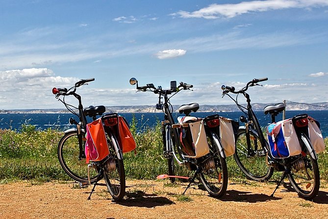 Marseille Shore Excursion Private EBike Tour to the Calanques - Why this tour works well from a cruise ship