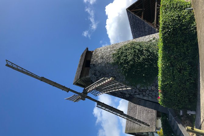 Martinique Shore Excursion - Authentic Tour of Southern Martinique - The minibus matters more than the brochure suggests