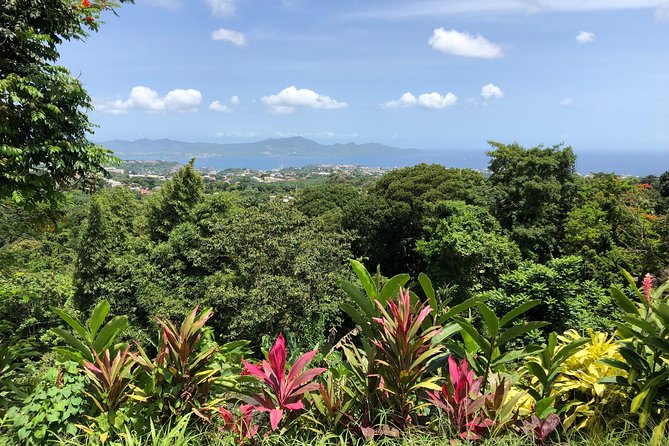 Martinique Shore Excursion - Unmissable Martinique North tour - Guides, vehicles, and the small-group tradeoff