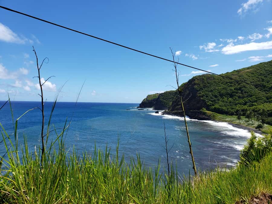 Maui : Road to Hana Tour w/ Pickup near Cruise Port - Paia, HoʻoKipa, and the first taste of Maui’s coast