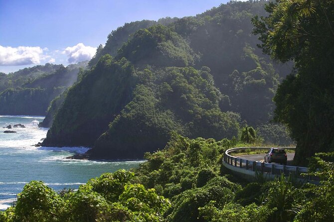 Maui Shore Excursions : Road to Hana With Pickup & Lunch - Key points to know before booking