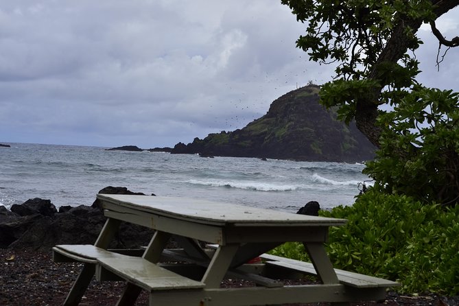 Maui Shore Excursions : Road to Hana With Pickup & Lunch - Ke‘anae Point offers taro country and banana bread