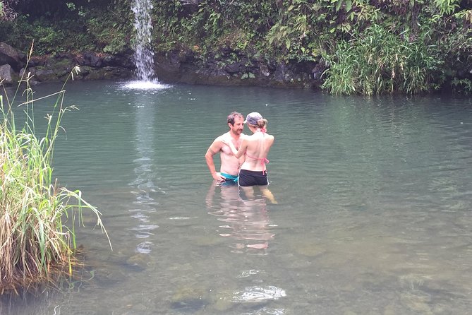 Maui Shore Excursions : Road to Hana With Pickup & Lunch - Pua‘a Ka‘a State Park is the best waterfall break