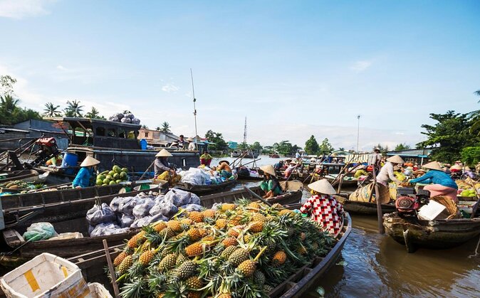 Mekong Delta Private Tour from Ho Chi Minh Ports-Shore Excursion - Key points at a glance