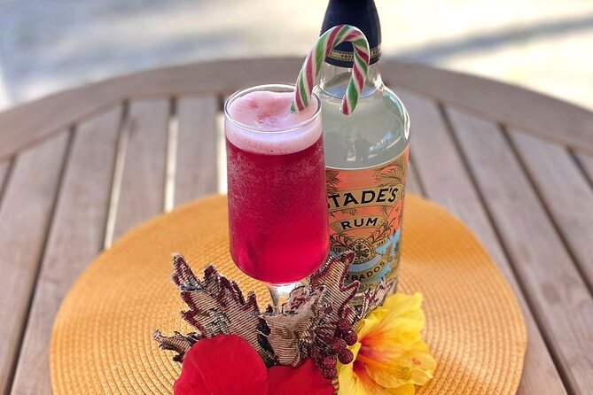 Mixology Class in Bridgetown – 10 Minutes from Cruise Terminal - What makes this class worth your time