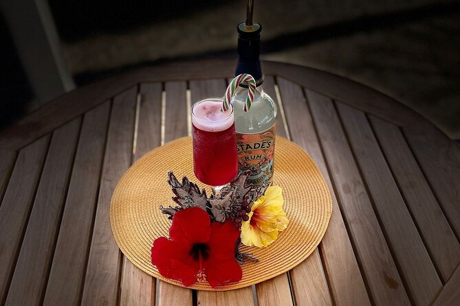 Mixology Class in Bridgetown – 10 Minutes from Cruise Terminal - Is $59 a good value?