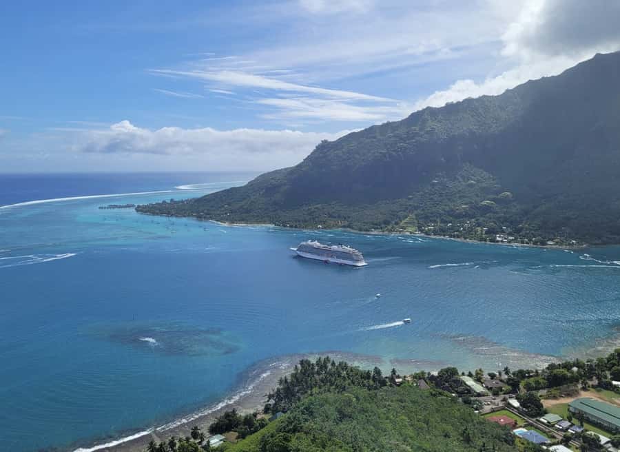 Moorea Cruise Ships 4x4, Belvedere Magic mount PRIVATE Tours - Pineapple fields and Moorea’s farming side