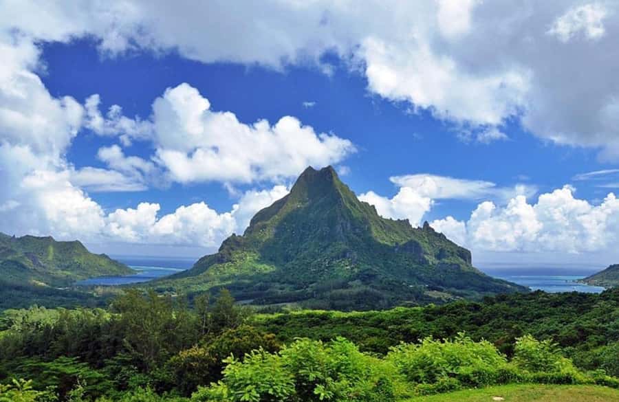 Moorea Cruise Ships 4x4, Belvedere Magic mount PRIVATE Tours - Tropical fruit, jam, juice, and fresh coconut