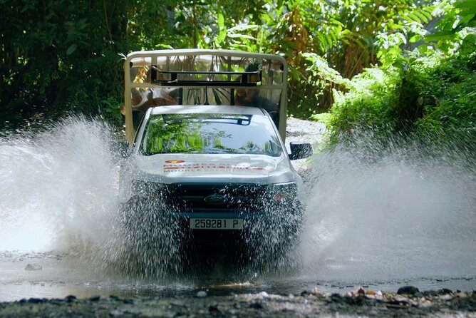 Moorea Cruise Ships: 4x4, Belvedere,Magic Mountain pineaple - Why a 4x4 makes sense on Moorea