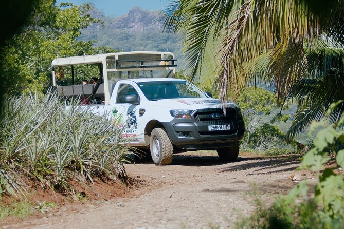 Moorea Cruise Ships: 4x4, Belvedere,Magic Mountain pineaple - Belvedere Lookout and the volcano crater
