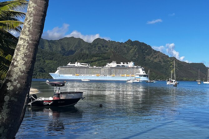 Moorea Cruise Ships: 4x4, Belvedere, Pineapple, & Magic Mountain - Is $70 Good Value?