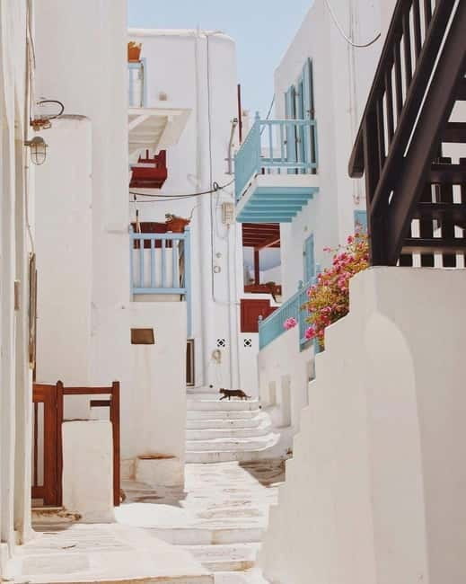 Mykonos Cruise Passenger Exclusive Jeep Tour: Must See in 4h - Why this tour works well for cruise passengers