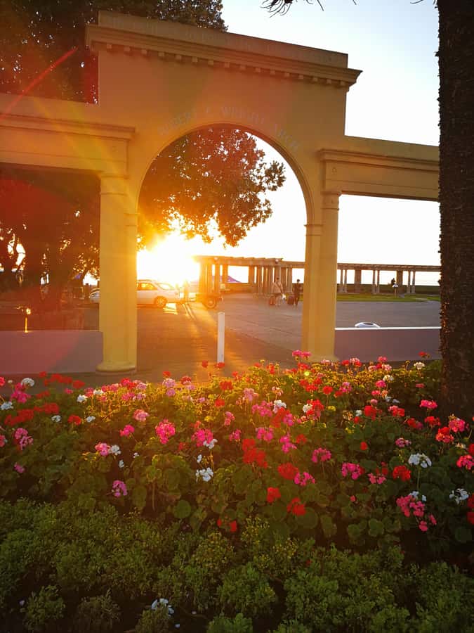 Napier: Shore Excursion with Wine Tasting and Platter - Key reasons to consider this Napier tour