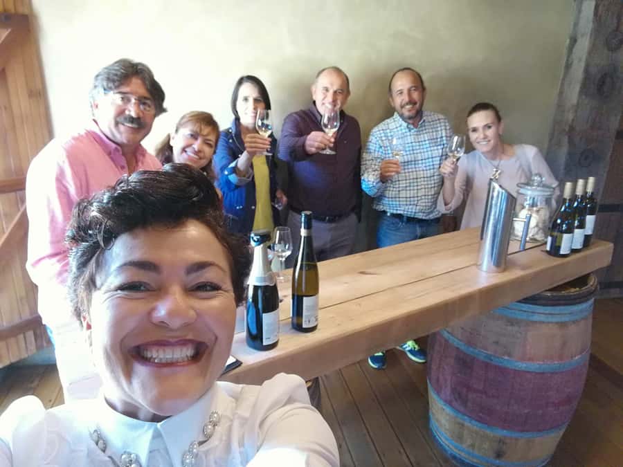 Napier: Shore Excursion with Wine Tasting and Platter - The Ātea a Rangi Star Compass
