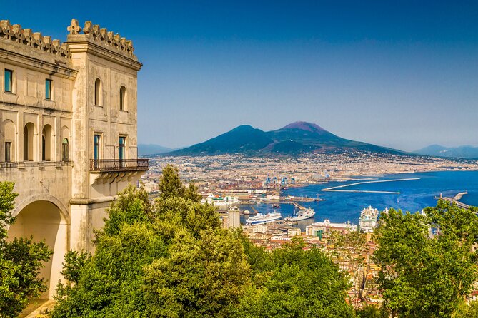 Naples/Salerno Port: Pompeii & Vesuvius - lunch or wine tasting - Is $156.89 good value?