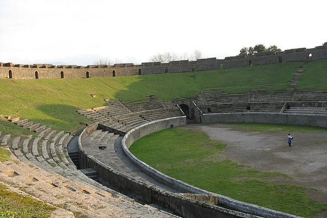 Naples Shore Excursion Mt Vesuvius and Pompeii Day Trip - Who should book this day trip?