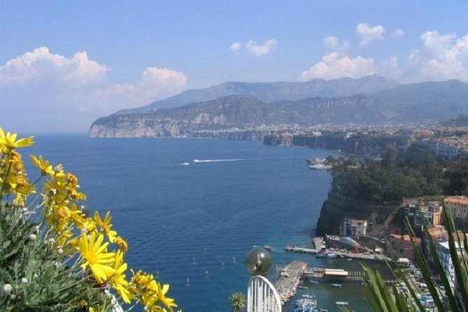 Naples Shore Excursion: Pompeii and Sorrento Day Trip - Key points to know before booking
