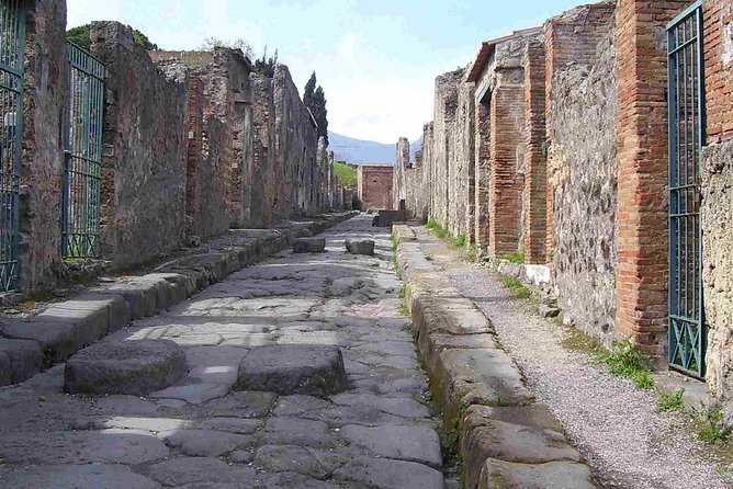 Naples Shore Excursion: Pompeii Half Day Trip from Naples - The drive from Naples to Pompeii