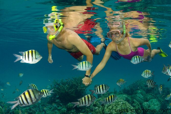 Nassau Shore Excursion: Bahamas Snorkel Adventure - Nassau snorkel adventure at a glance