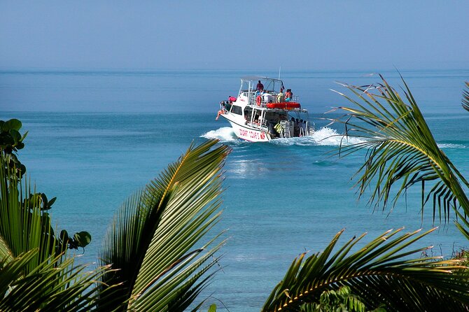 Nassau Shore Excursion: Bahamas Snorkel Adventure - Stop one: reef water and tropical fish